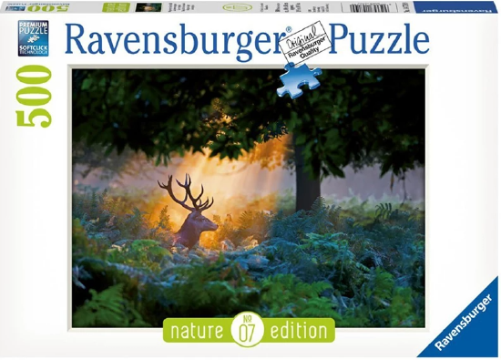 Produktbild des Puzzles: Magischer Lichteinfall. Artikelnummer 14719.
